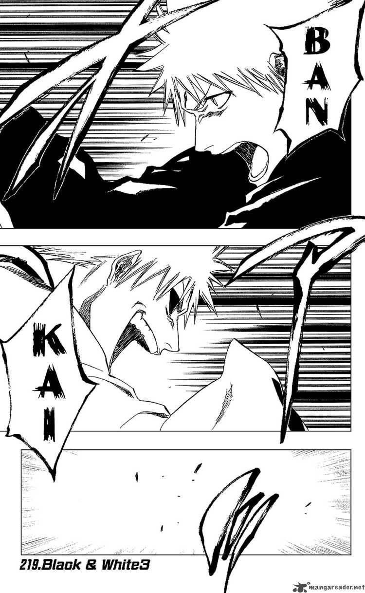 Chapter 219 - Black And White 3 Image(1)