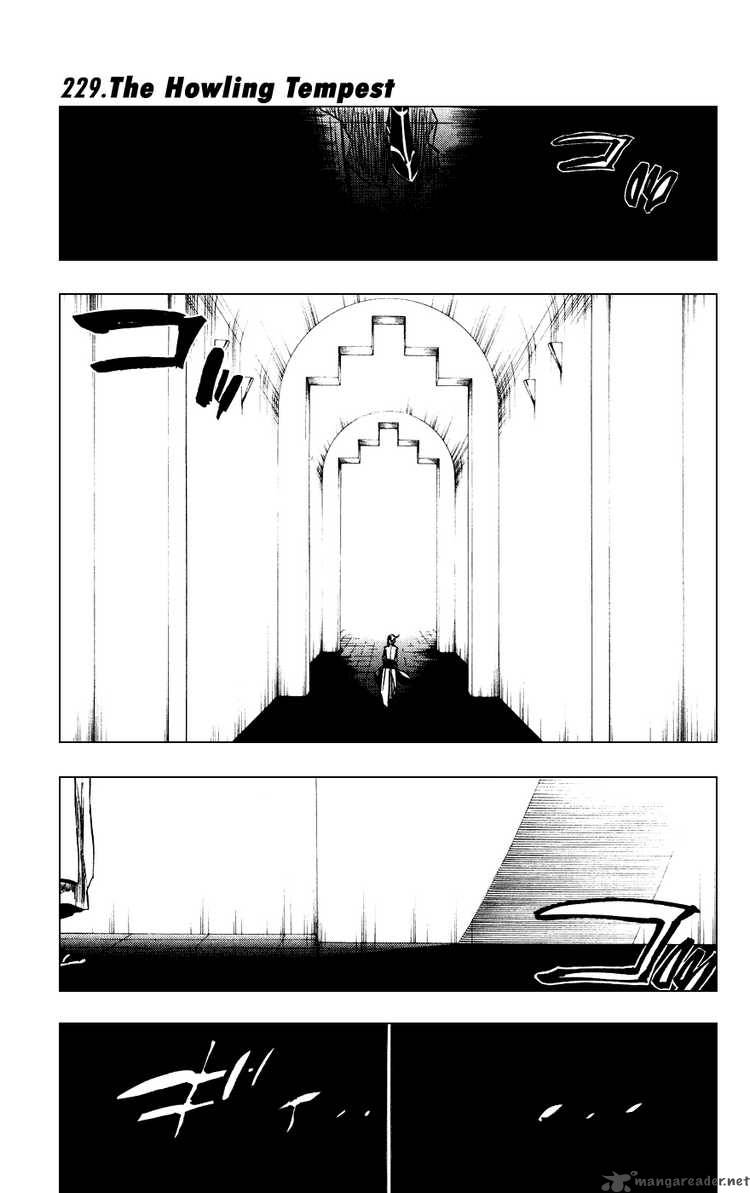 Chapter 229 - Howling Tempest Image(1)
