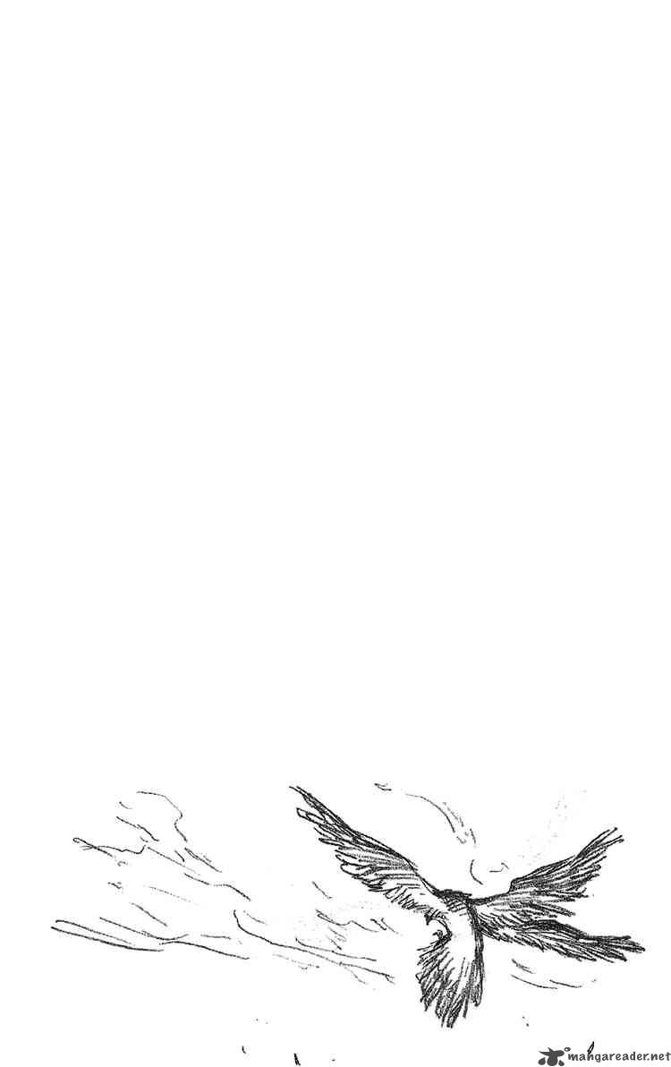 Chapter 239 - Winged Eagles Image(22)
