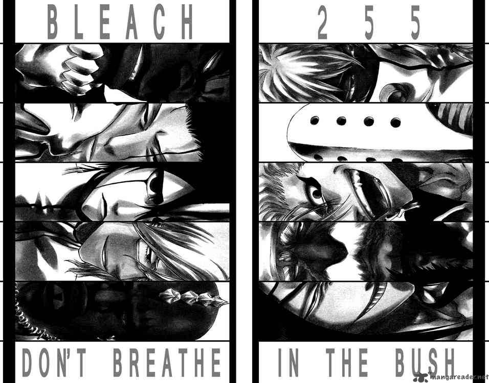 Chapter 255 - Don't Breathe In The Bush Image(2)