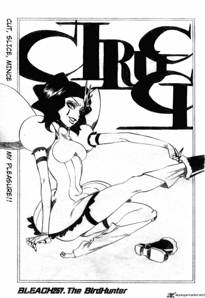 Chapter 257 - The Birdhunter Image(4)