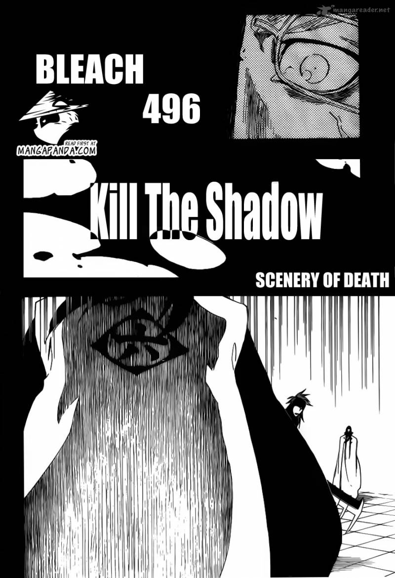 Chapter 496 - Kill The Shadow Image(4)