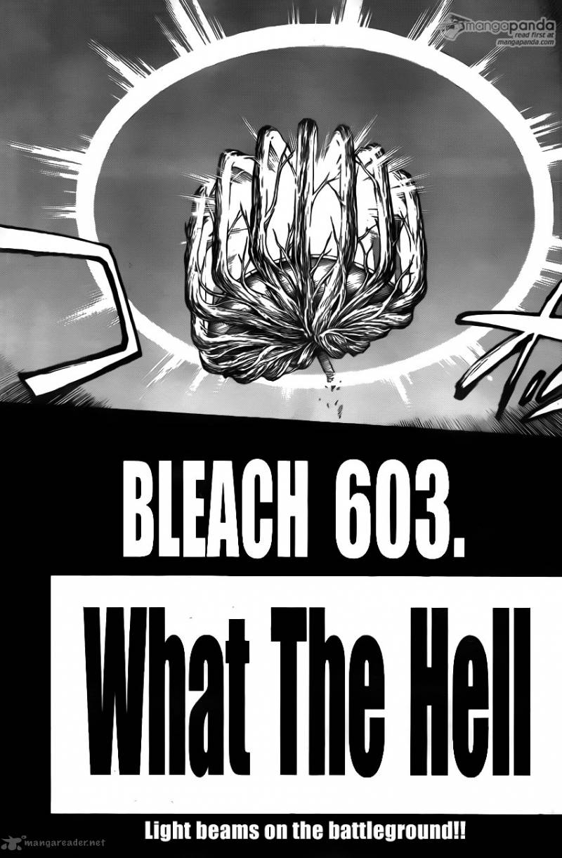 Chapter 603 - What The Hell Image(3)